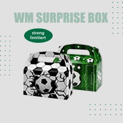 WM SURPRISE BOX